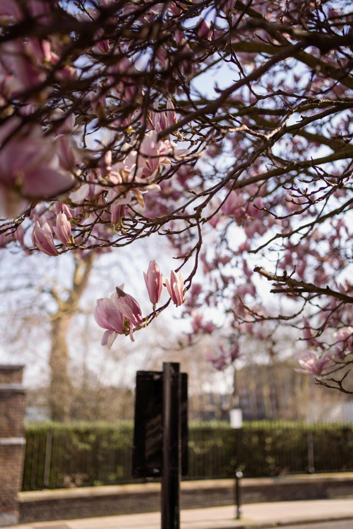 Chelsea Flat, Convenient And Quiet Apartament *